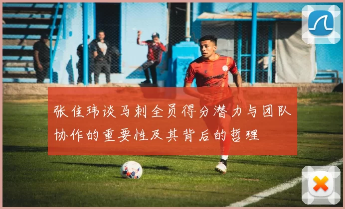 张佳玮谈马刺全员得分潜力与团队协作的重要性及其背后的哲理